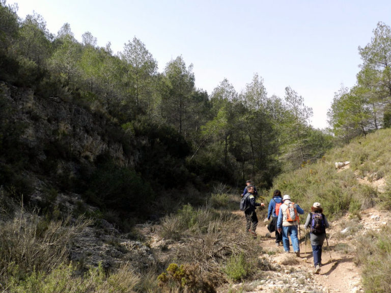 Les Rutes del Centre: Alberg de Rita – Font dels Gamellons – 21.2.16