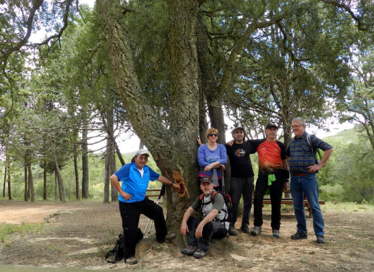 Les Rutes del Centre: El Surar de Pinet – Vall d’Albaida – 17.4.16