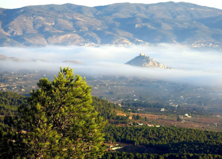 Les rutes del Centre: Barranc del Puntal Pelat – Castalla-Petrer  23.10.16