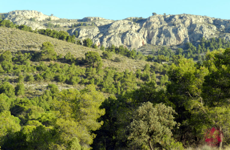 Les Rutes del Centre: Font de l’Estallador-Coll de Penyarubia-Cova Roja – Biar 26.11.17