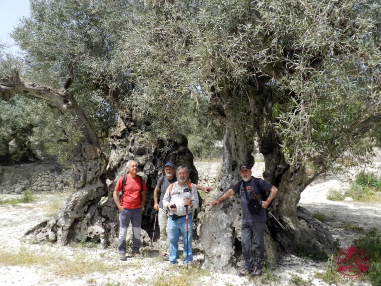 Les Rutes del Centre: Serra d’Almudaina – Benimassot (El Comtat) – 22.4.18