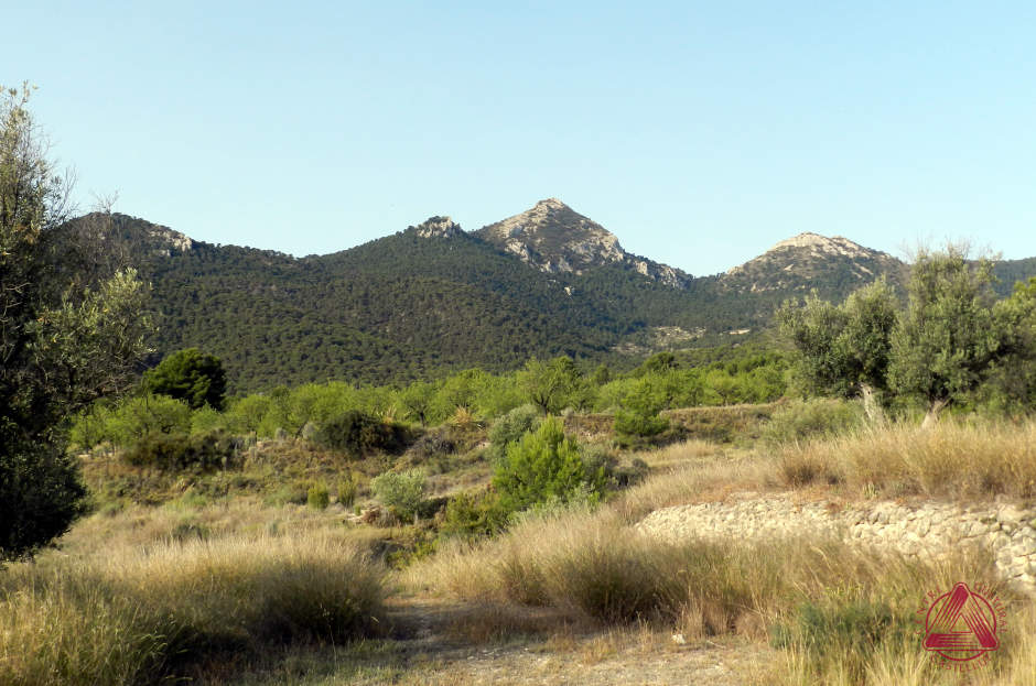 Les Rutes del Centre: Barranc de Ràgil-Riu Verd-Torroselles – Tibi (l’Alcoià) (FdC34) 1