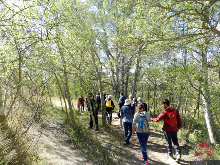 Un agradable passeig per la vora del riu Verd -13.4.19