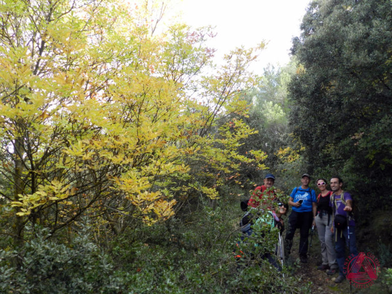 Les Rutes del Centre: Els Plans – Rentonar – Benifallim (Alcoià) 31.10.21